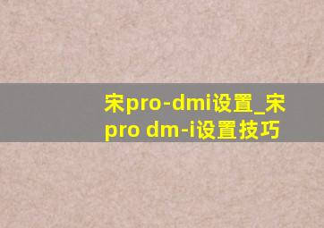 宋pro-dmi设置_宋pro dm-i设置技巧